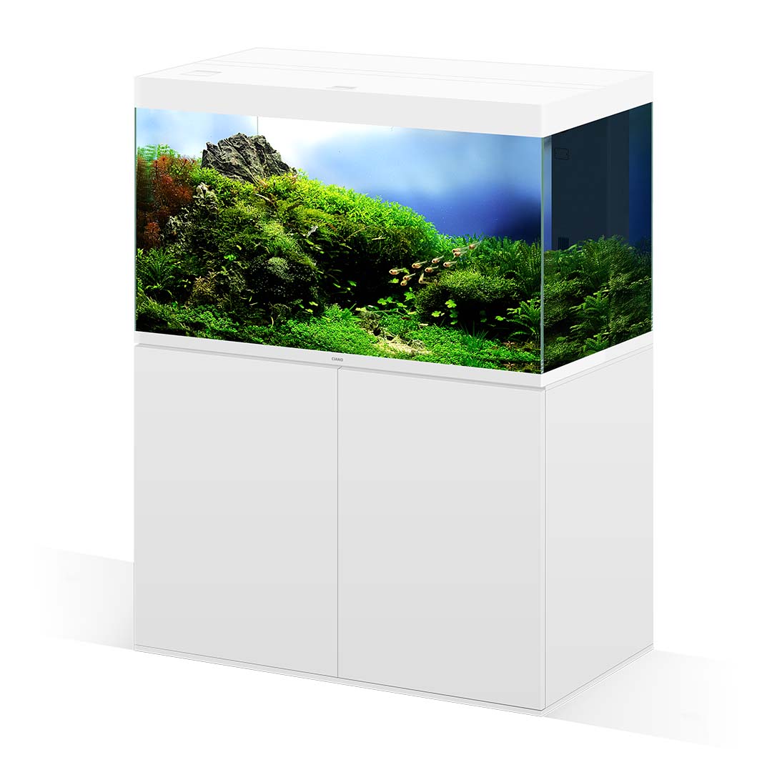 Cabinet Emotions Pro 100 Deep White - Sceneshot