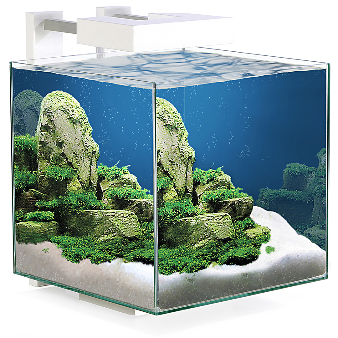 Aquarium nexus pure cube 15 led - Product shot