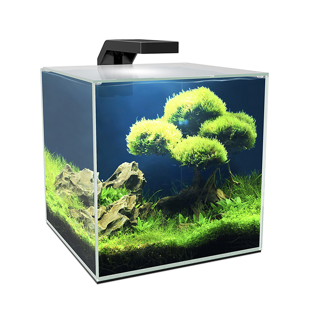 vonnis snijden Mantsjoerije Aquarium cube 10 led - Laroy Group
