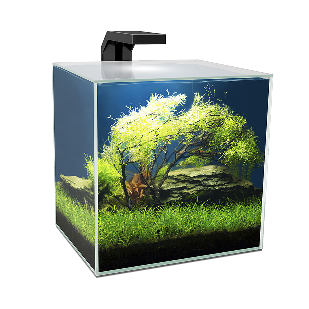 Aquarium cube 15 led - Product shot