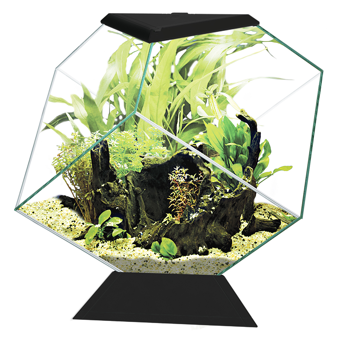 Aquarium nexus 14c black - Product shot