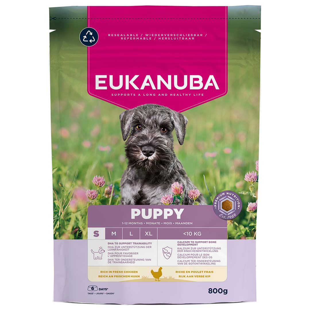 Euk dog puppy small breed chicken - Facing