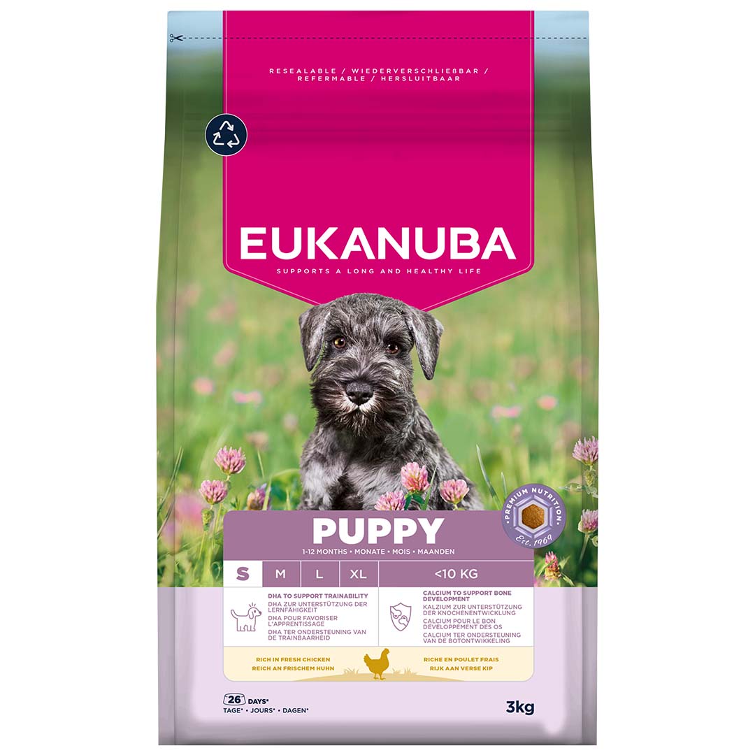 Euk dog puppy small breed chicken - Facing