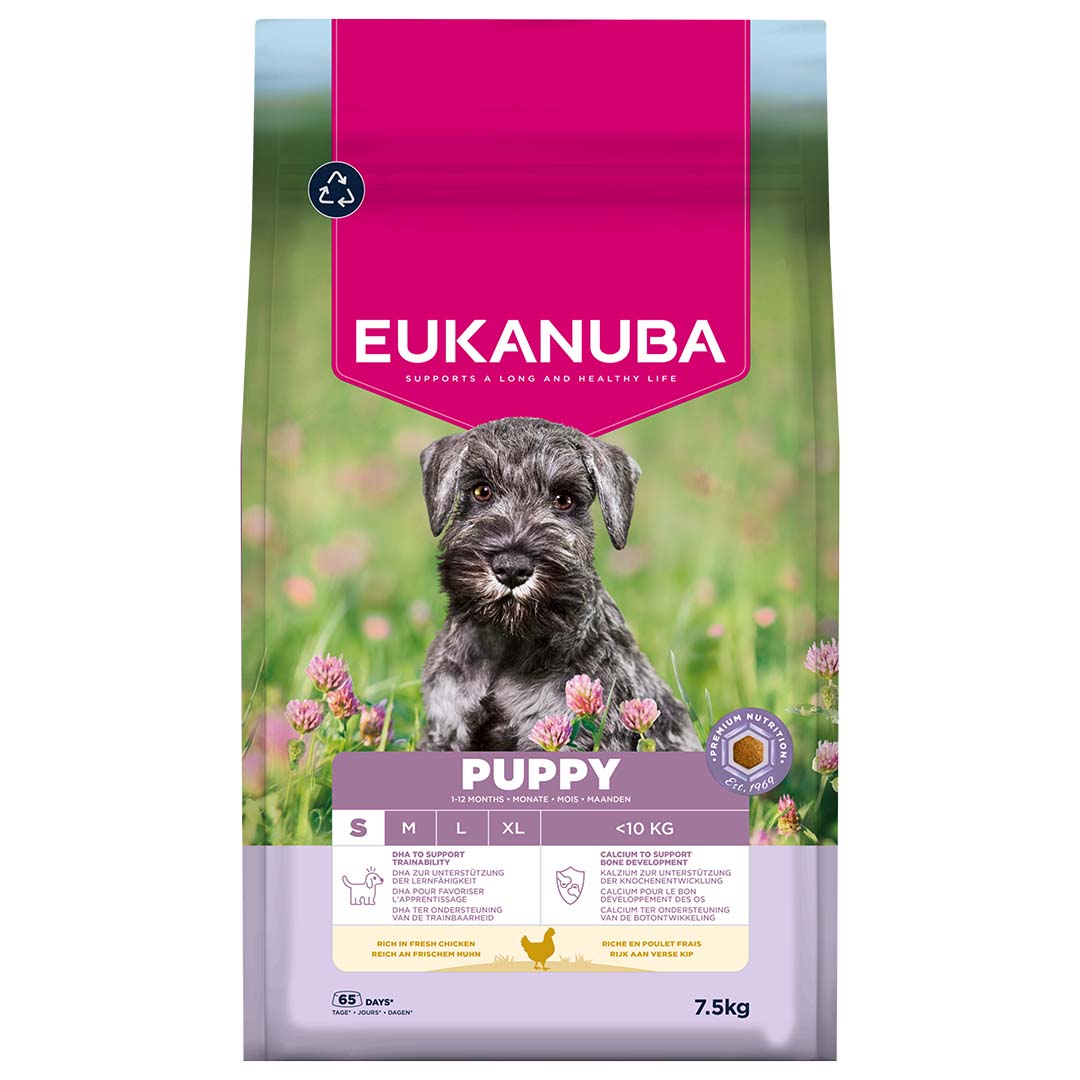 Euk dog puppy small breed chicken - Facing