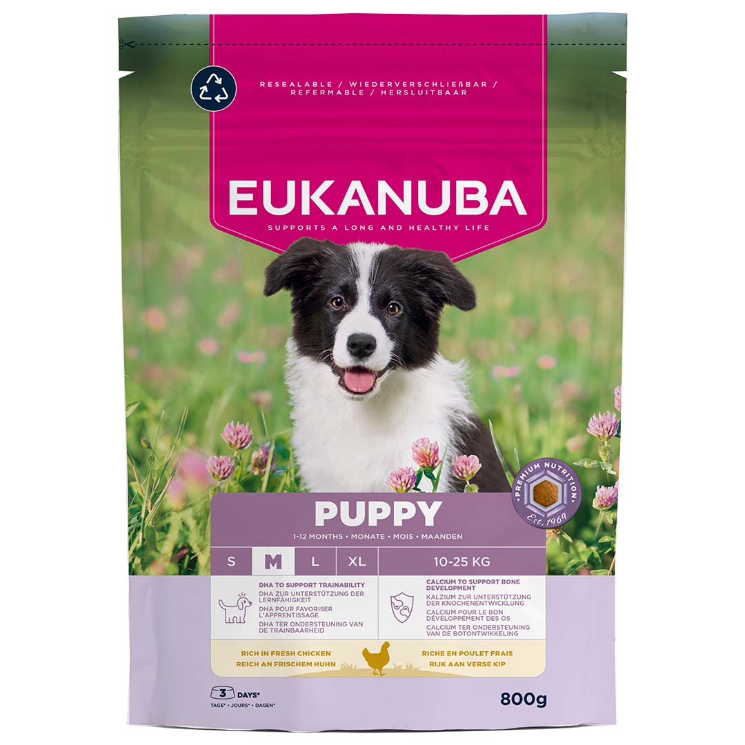 Euk dog puppy medium breed chicken - Facing