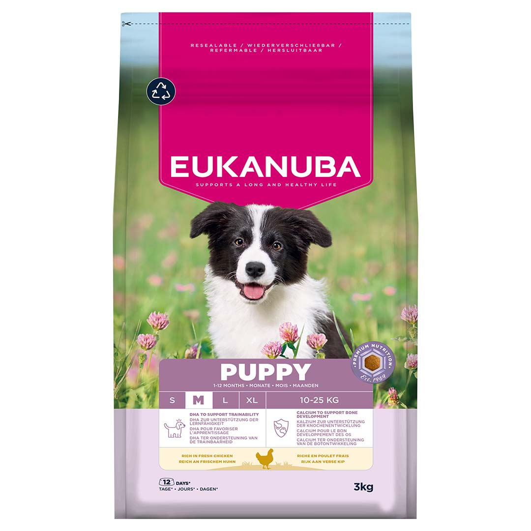 Euk dog puppy medium breed chicken - Facing