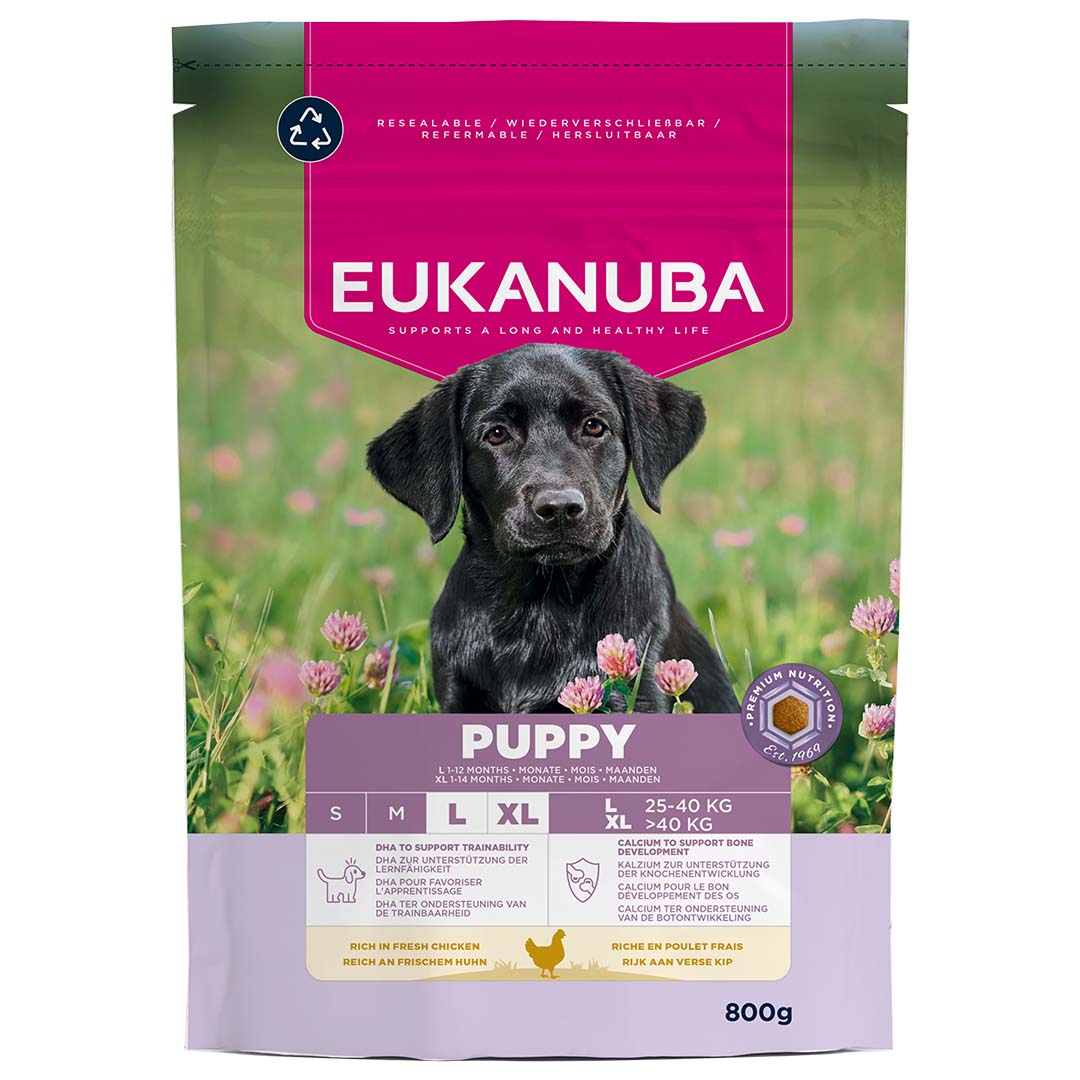 Euk dog puppy large breed chicken - Facing