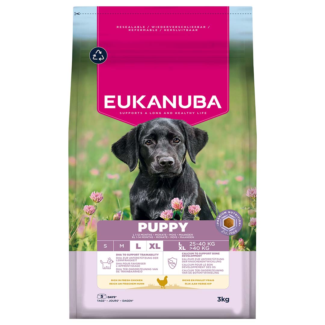 Euk dog puppy large breed chicken - Facing