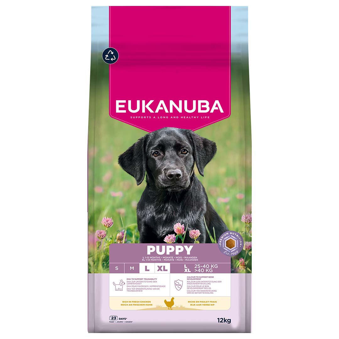 Euk dog puppy large breed chicken - Facing