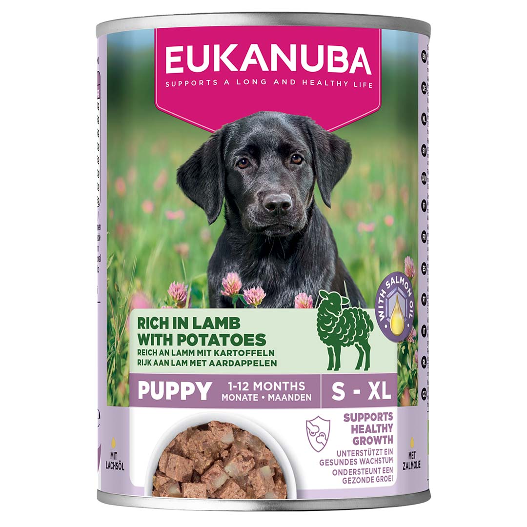 EUK dog wet puppy lamb - Facing