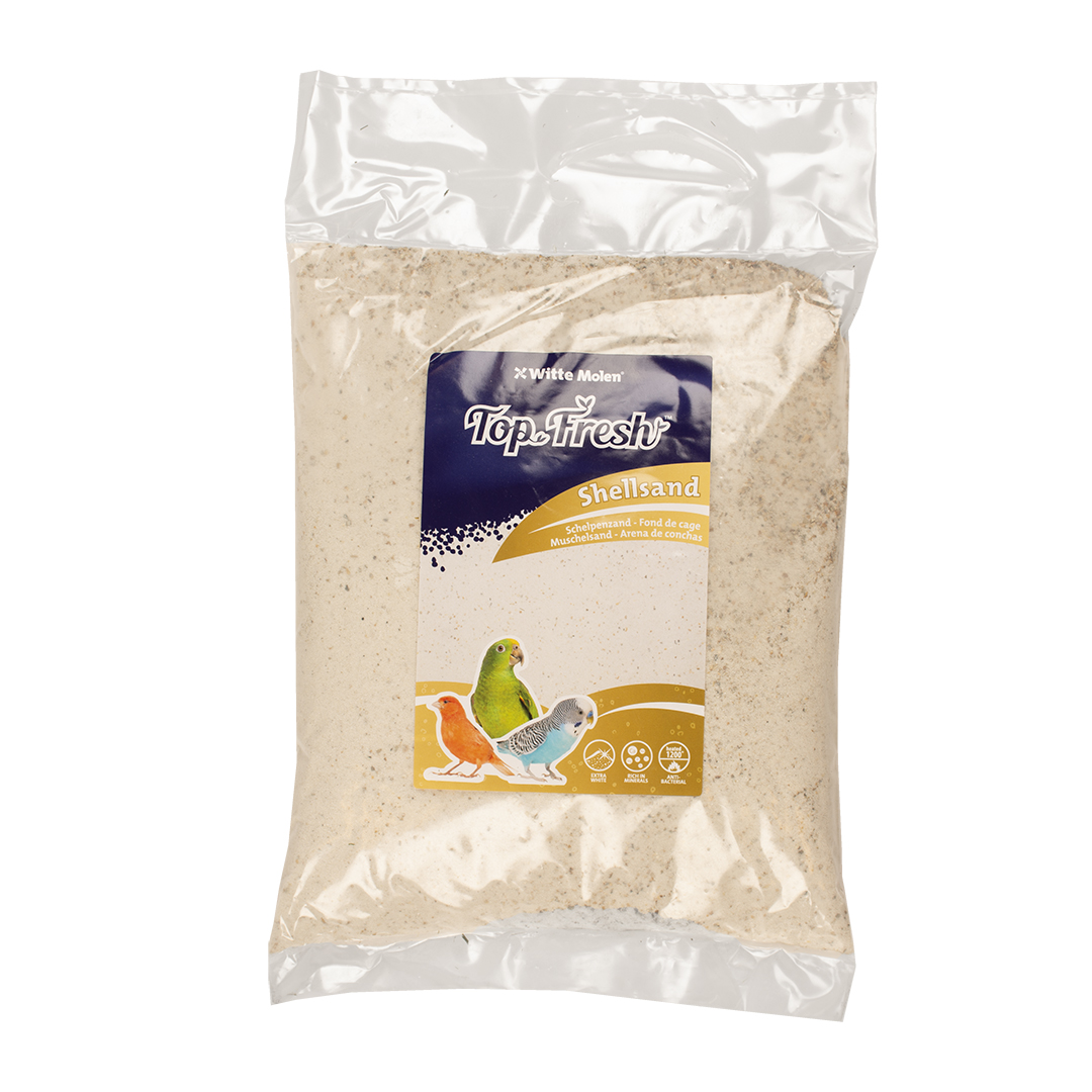 Top Fresh sable de coquillages blanc Blanc - <Product shot>