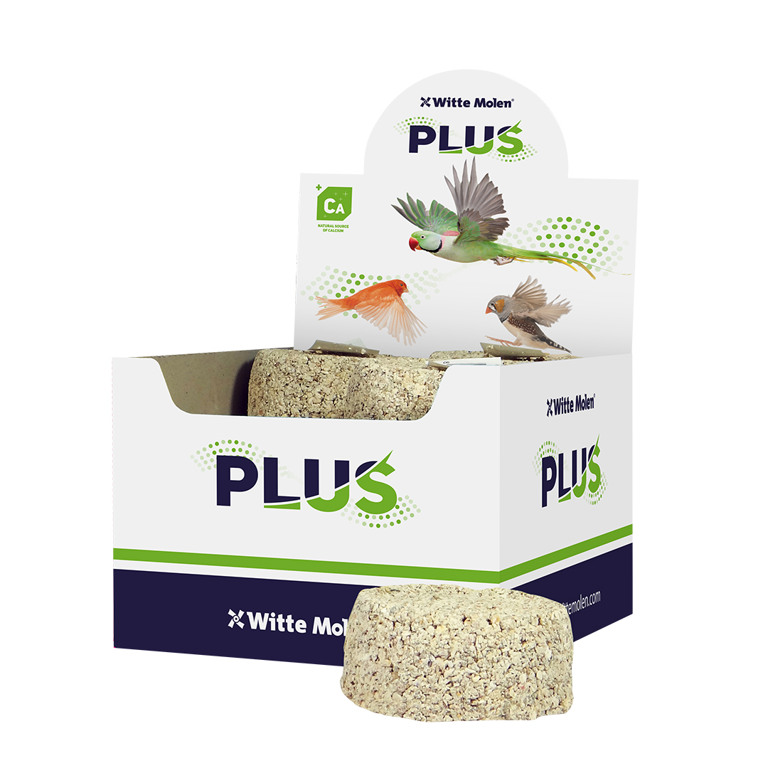 Plus mineral block medium fine - Product shot