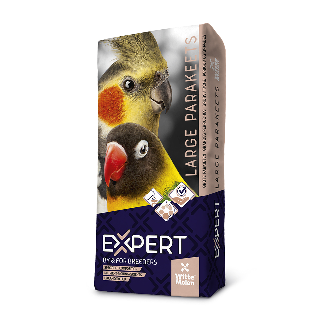 Expert base large parakeets - Product shot