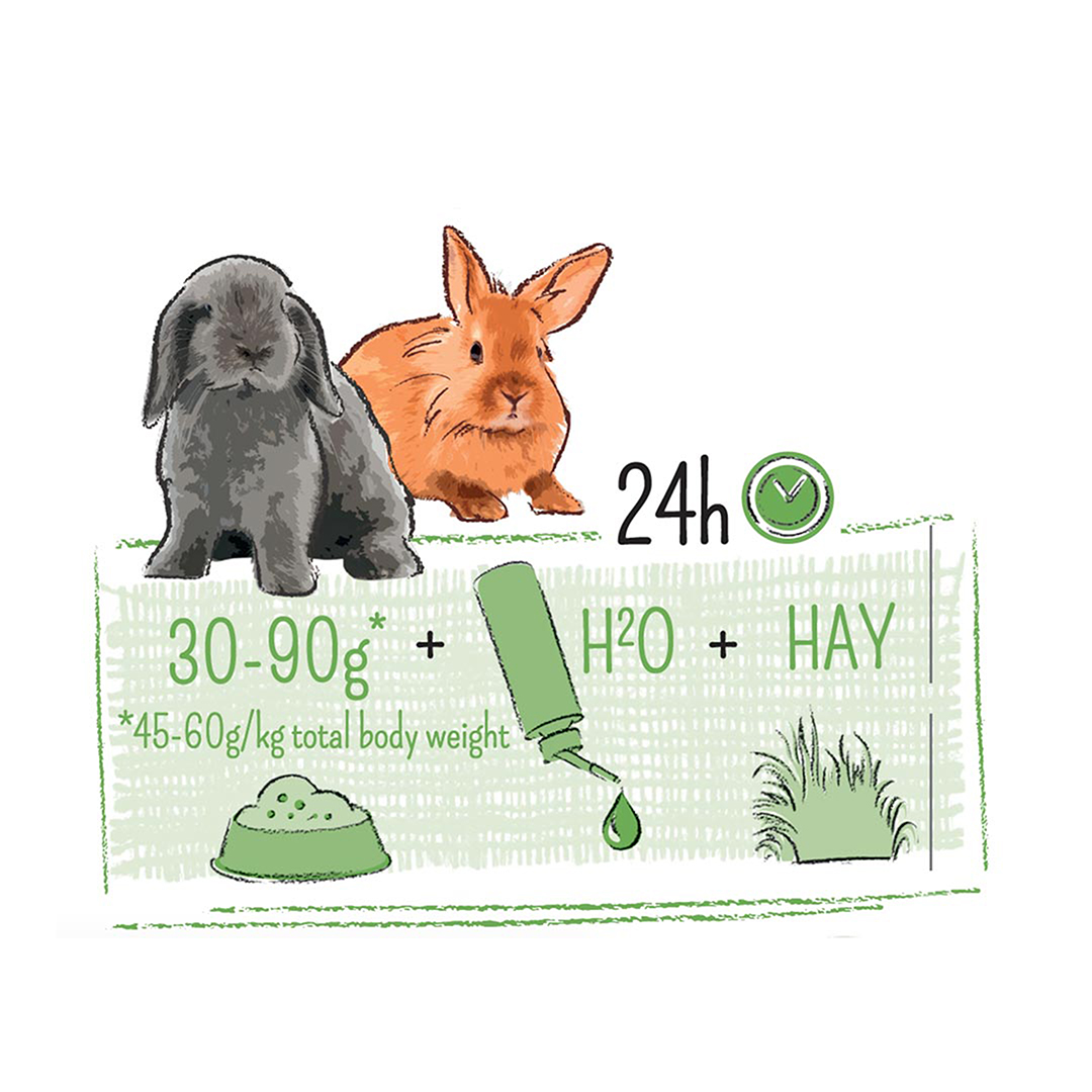 Puur rabbit junior - Technische tekening