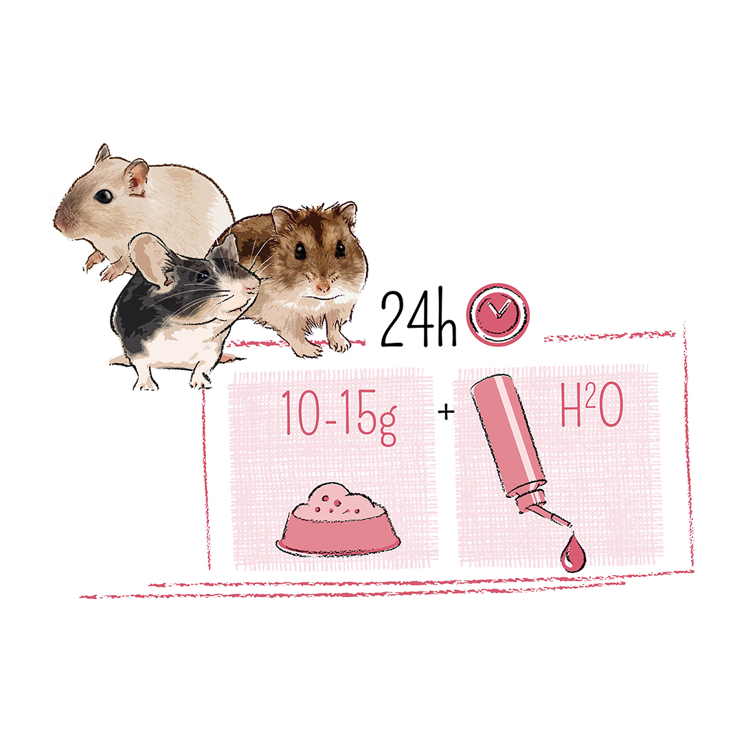 Puur dwarf hamster & friends - Technische tekening