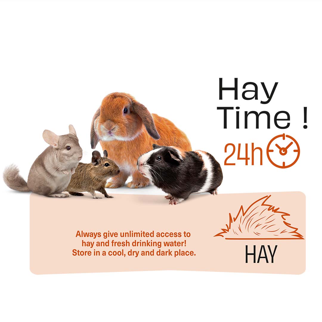 PUUR Heno De Prado Y Verduras - Technische tekening