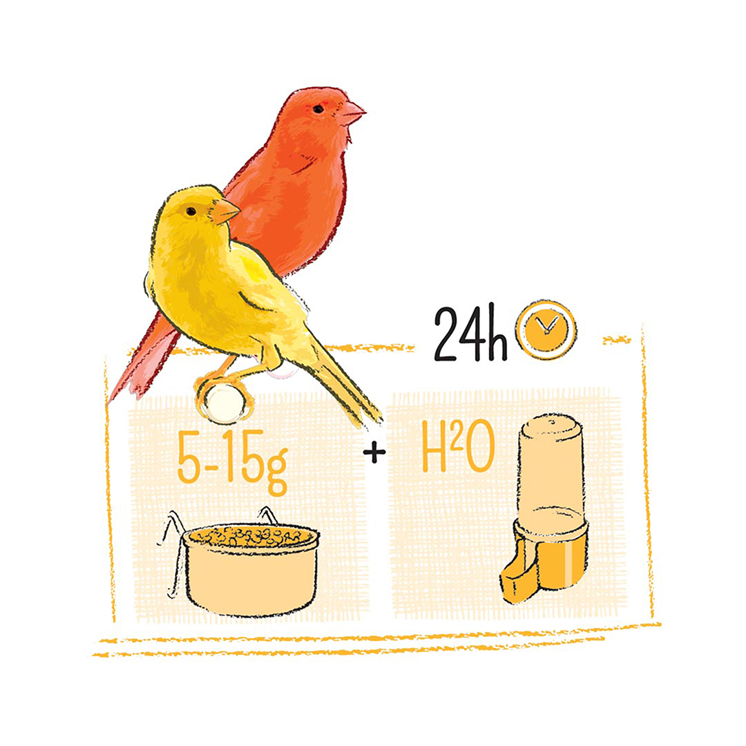 Puur canary - Technische tekening