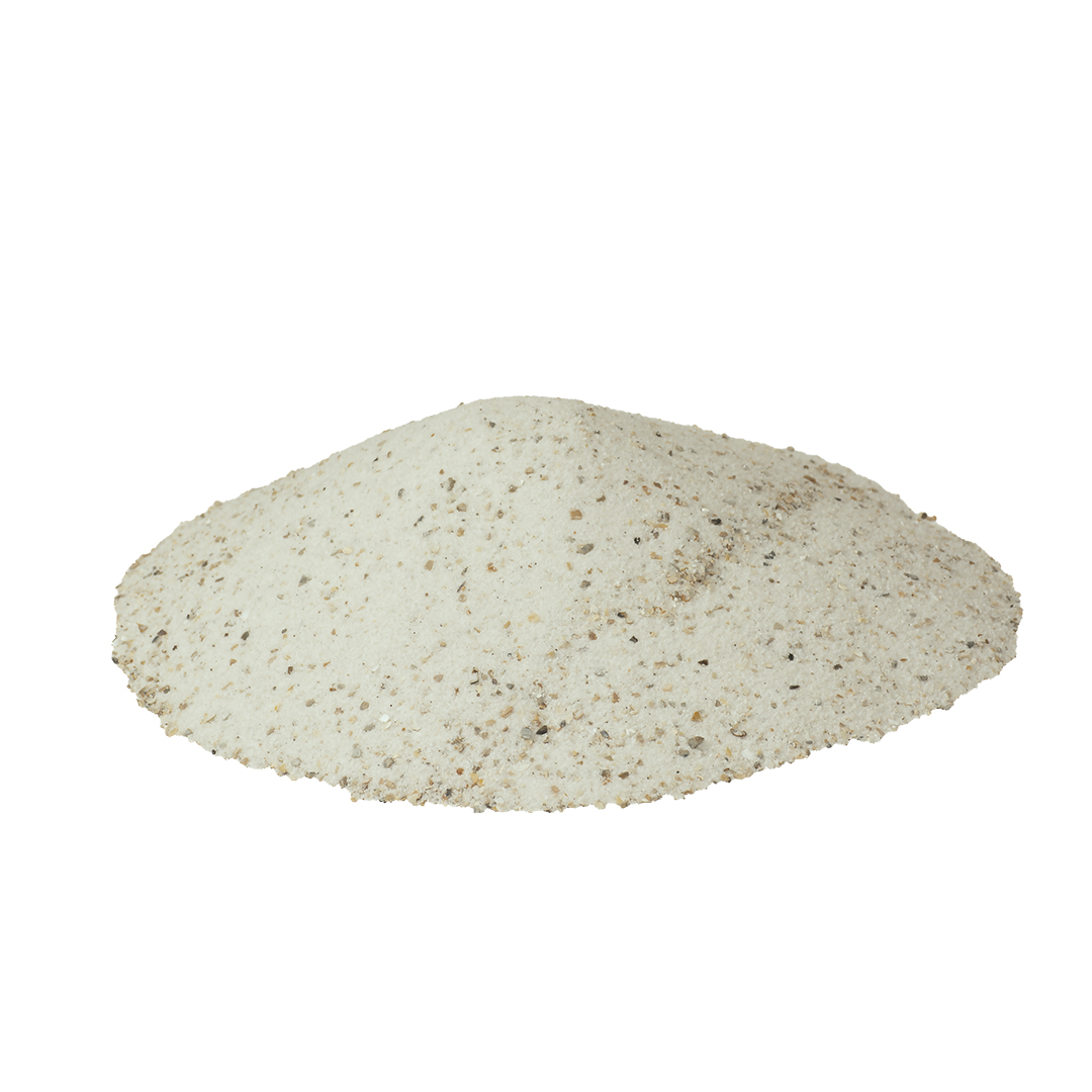 Top Fresh sable de coquillages blanc Blanc - Foodshot