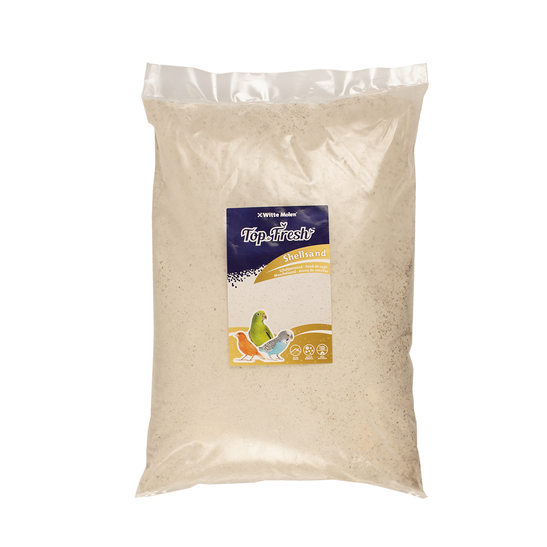 Top Fresh sable de coquillages blanc Blanc - <Product shot>