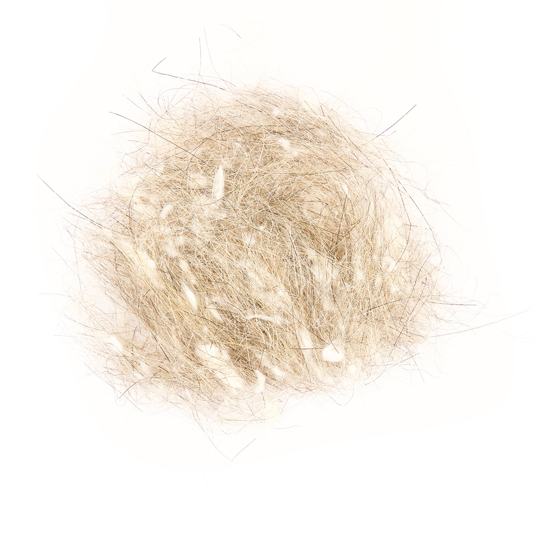 Top fresh animal hair natural - Foodshot