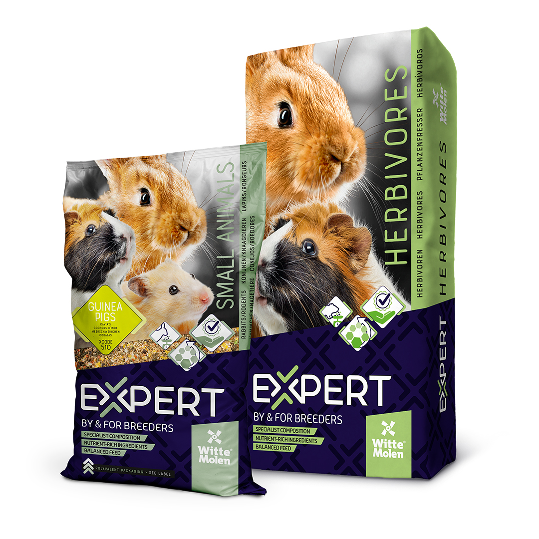 Expert cavia's - Verpakkingsbeeld