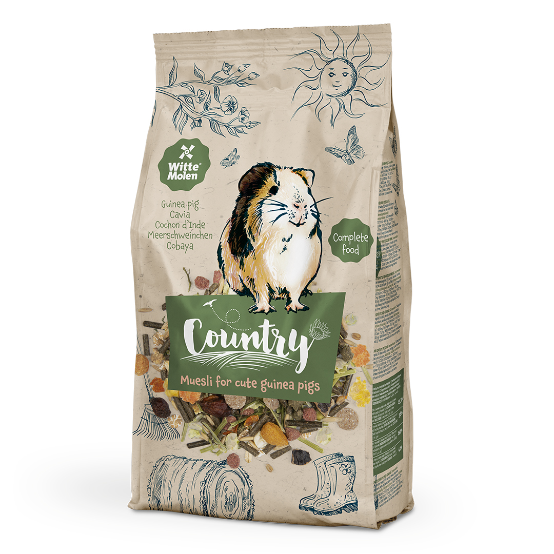 Country cavia - <Product shot>
