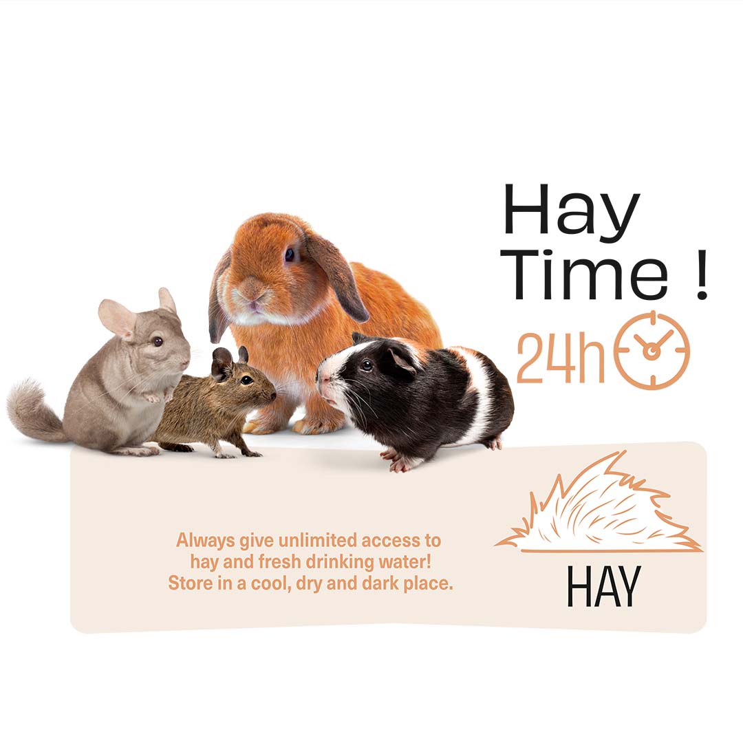 PUUR Timothy hooi groenten - Technische tekening
