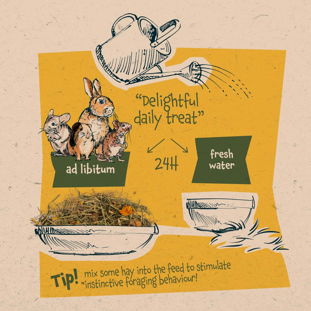 Country bloesemhooi paardenbloem - Technische tekening