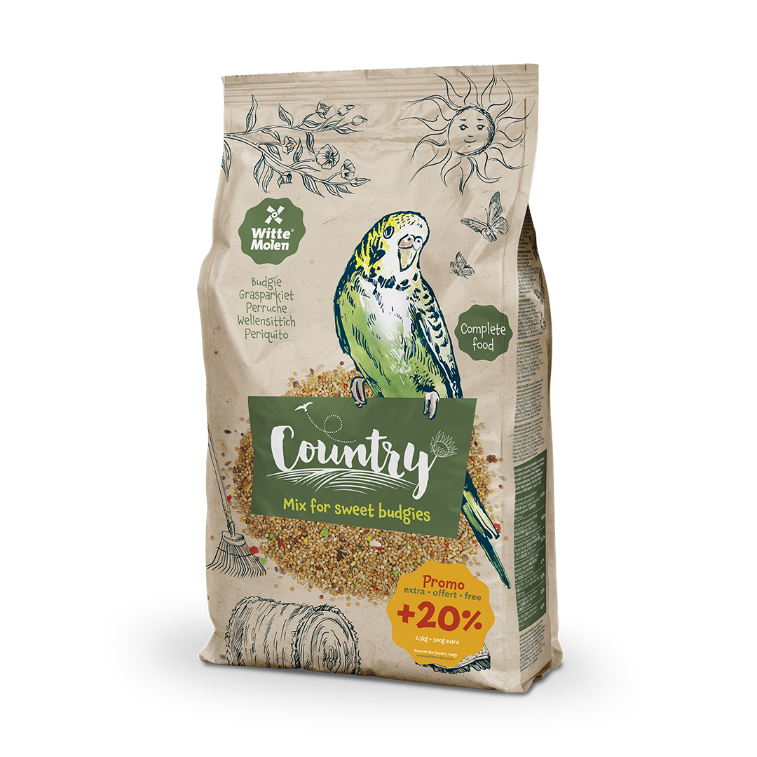 Country budgie - Product shot