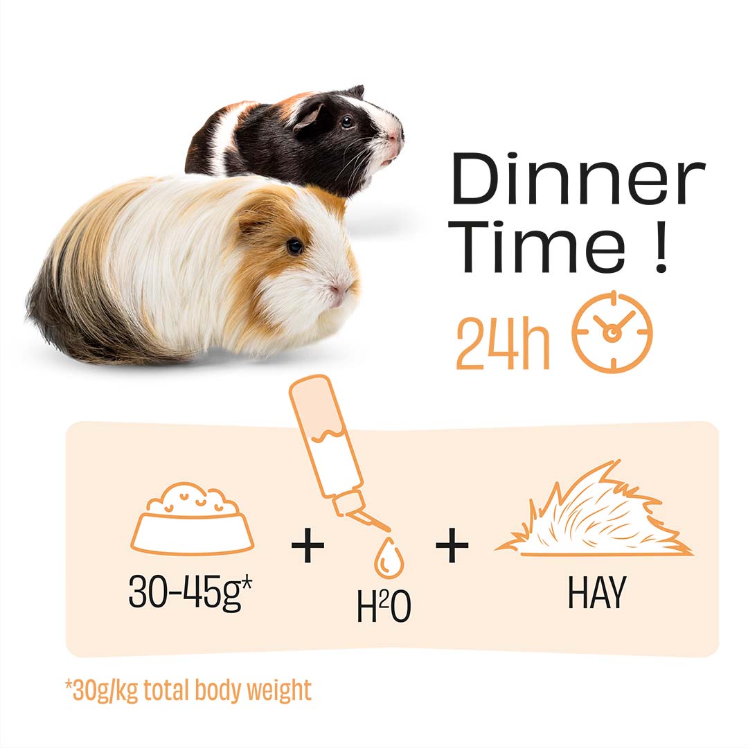 PUUR Cavia sensitive - Technische tekening