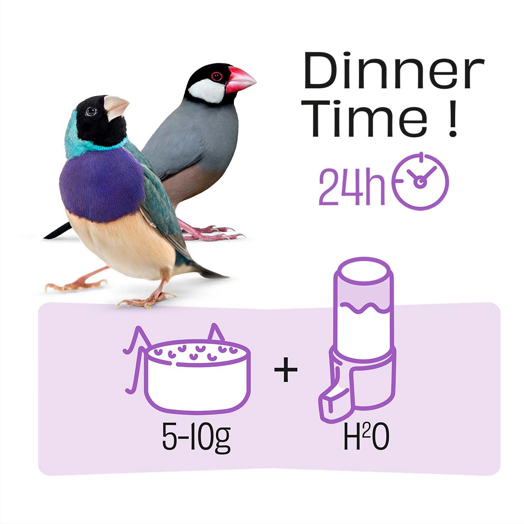 PUUR Tropenvogel - Technische tekening