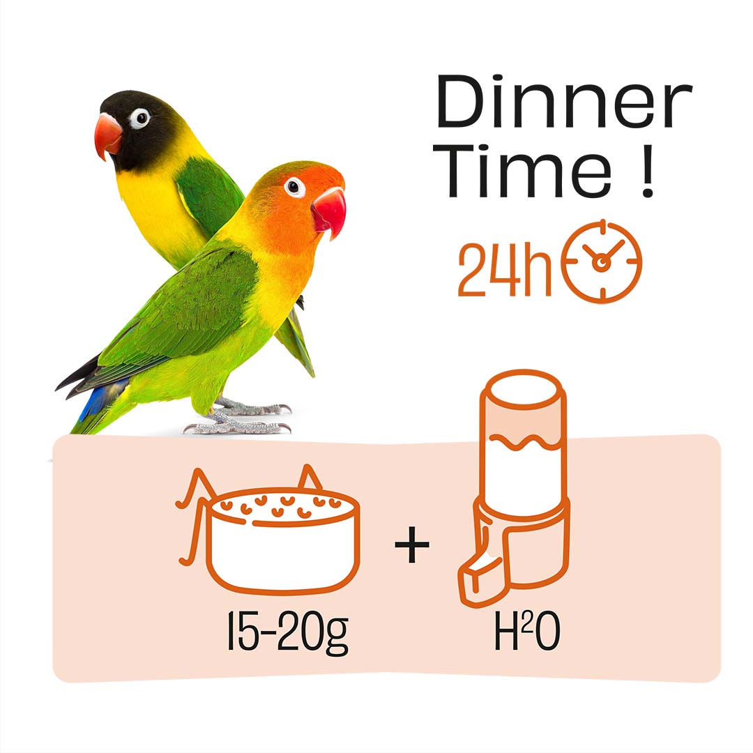 PUUR Agapornis - Technische tekening