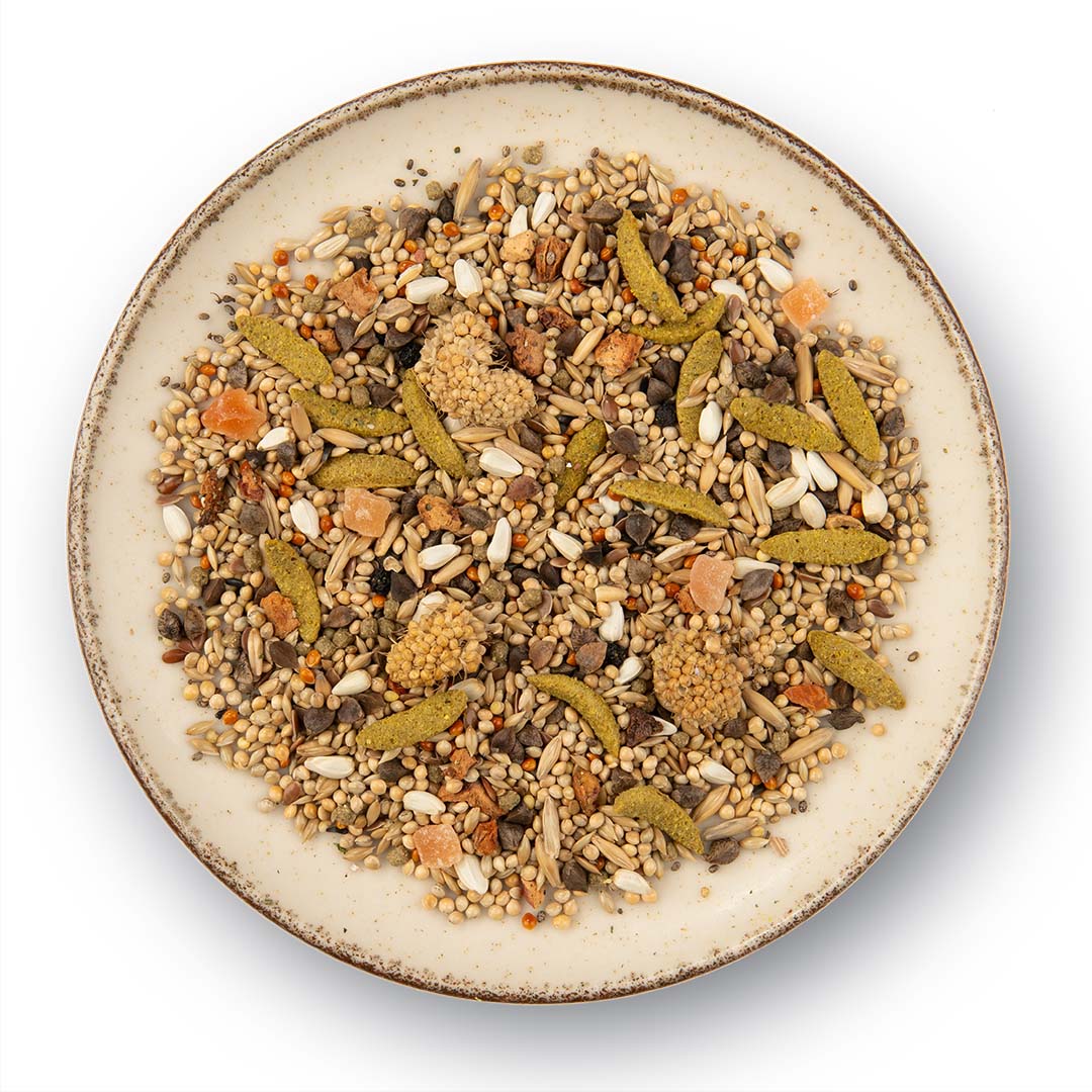 PUUR Agapornis - Foodshot