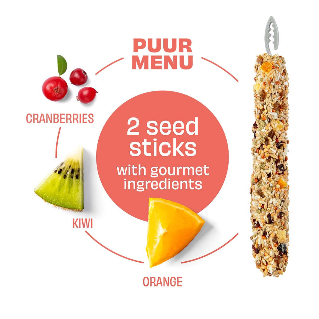 PUUR Sticks kanarie veenbes & kiwi - Detail 1