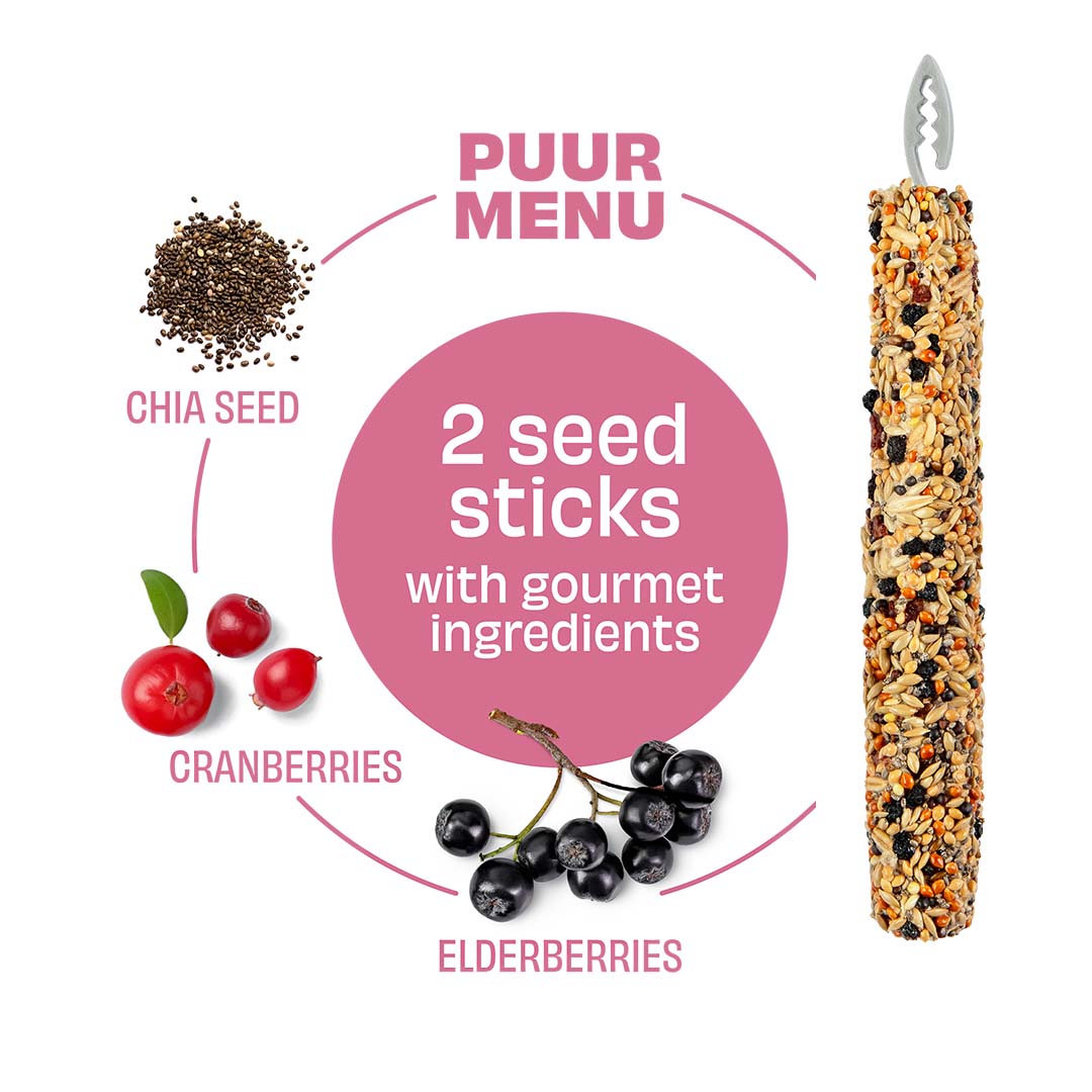 PUUR Sticks kanarie vlierbes & chiazaad - Detail 1