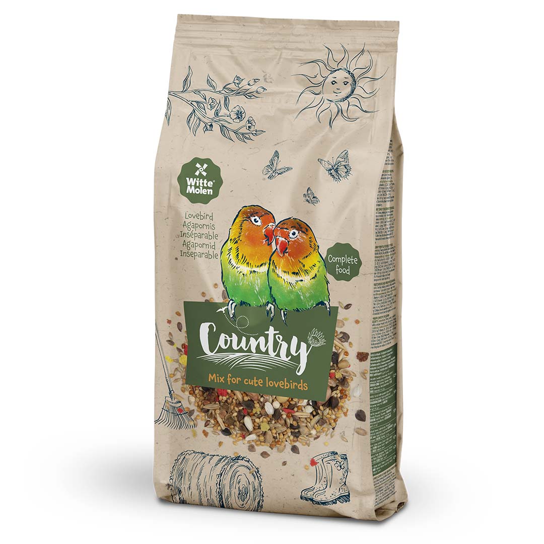 Country Agapornis - <Product shot>